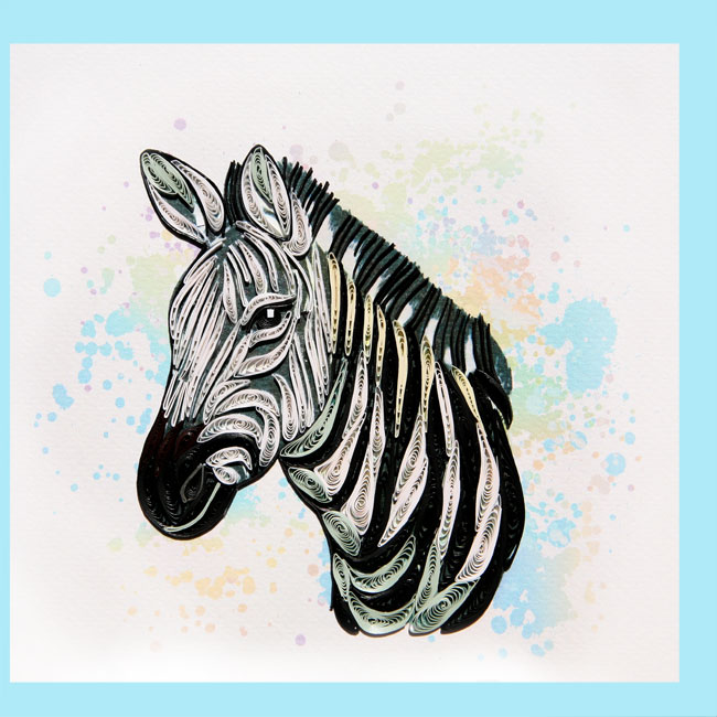 zebra