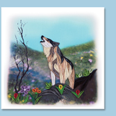 wolf