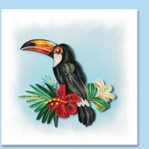 bird