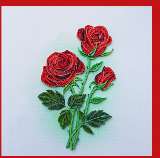 red rose