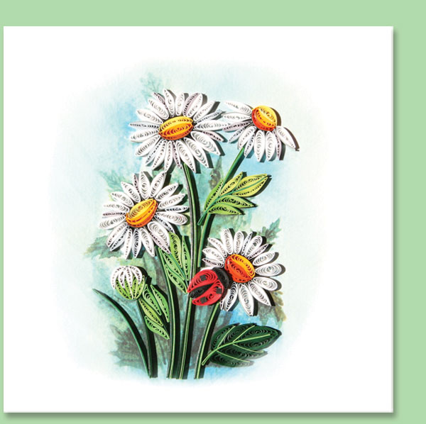 daisy