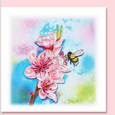 cherry bloso