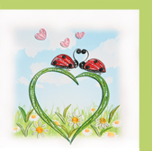 lady bugs