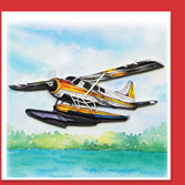 airplain