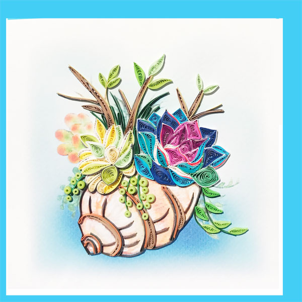 sea shell succulent